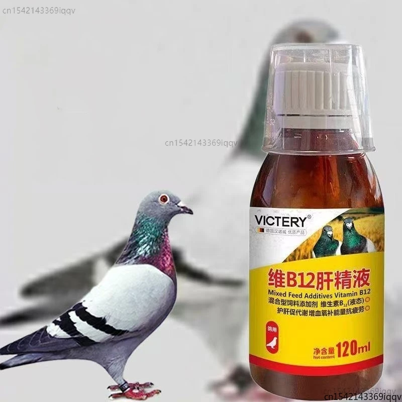 120ml Racing Pigeon Tonic Vitamin B12 Liver Supplement for Energy, Recovery Faster Lactic Acid Clearance