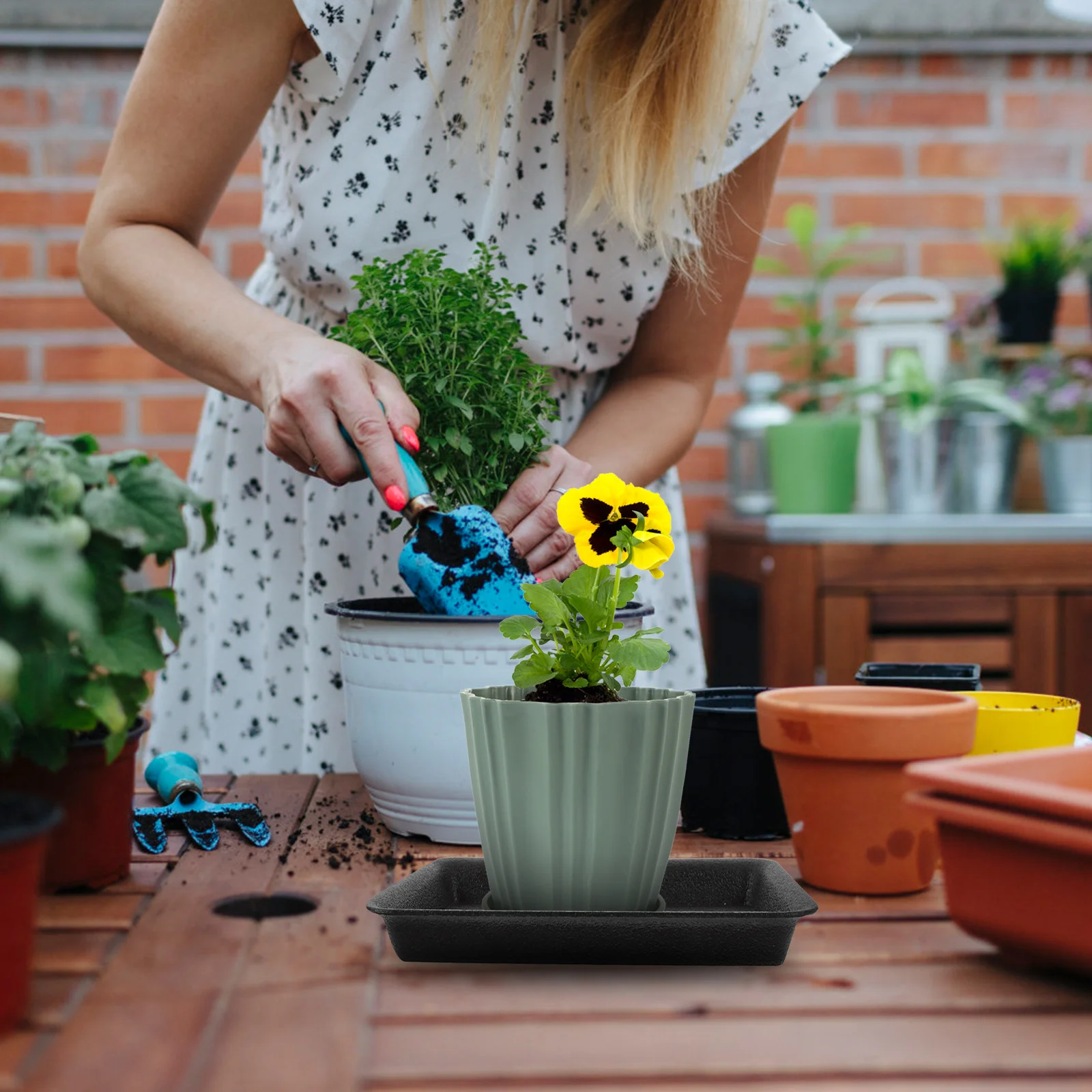 

6Pcs Planter Tray Plastic Flower Pot Saucers for Home Garden Furniture Protection Anti Leakage Design Plant Saucers