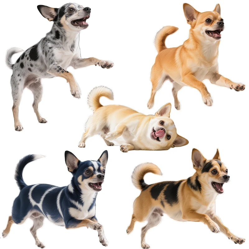 Three Ratels CC170 Naughty Chihuahua dog wall stickers for Home Decoration car decals