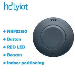 Holyiot Bluetooth Beacon NRF52810 BLE 5.0 Module Indoor Locations Long Range Programable Module for IBeacon