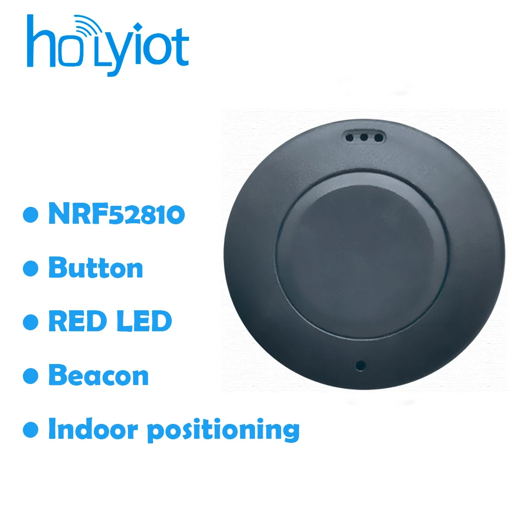 Holyiot Bluetooth Beacon NRF52810 BLE 5.0 Moduł do lokalizacji wewnętrznych Programowalny moduł dalekiego zasięgu dla IBeacon