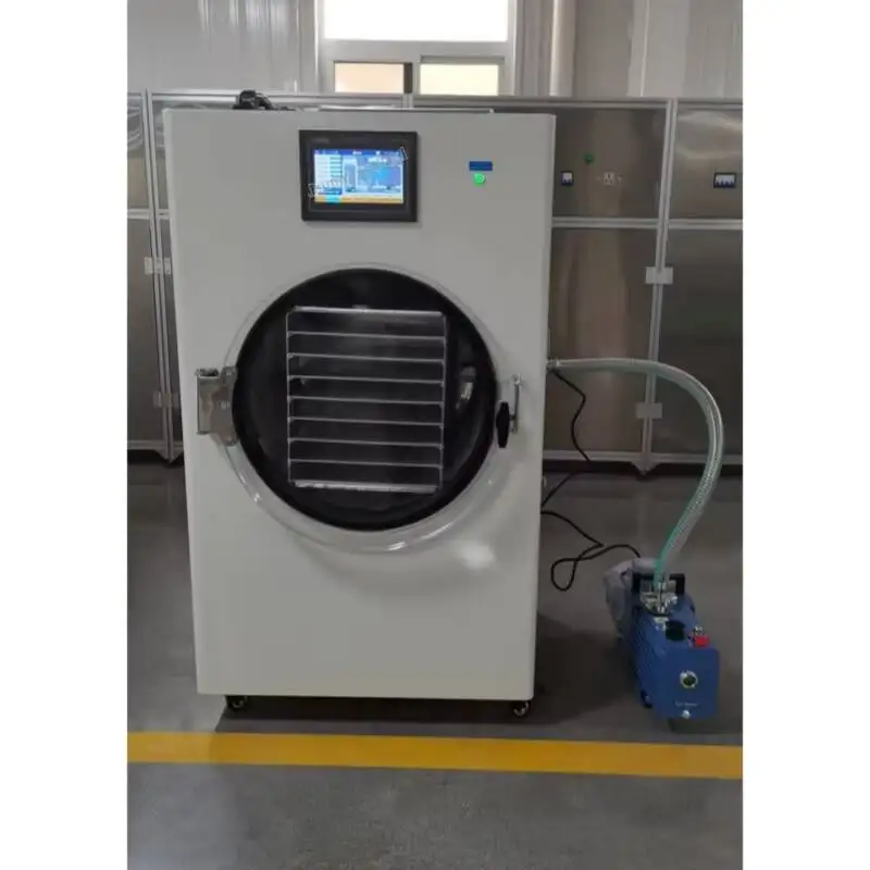 

Best Freeze Dryer 220V/110V Home Use To Preserve Harvest For Dehydrating Strawberries Apples And Dog Food