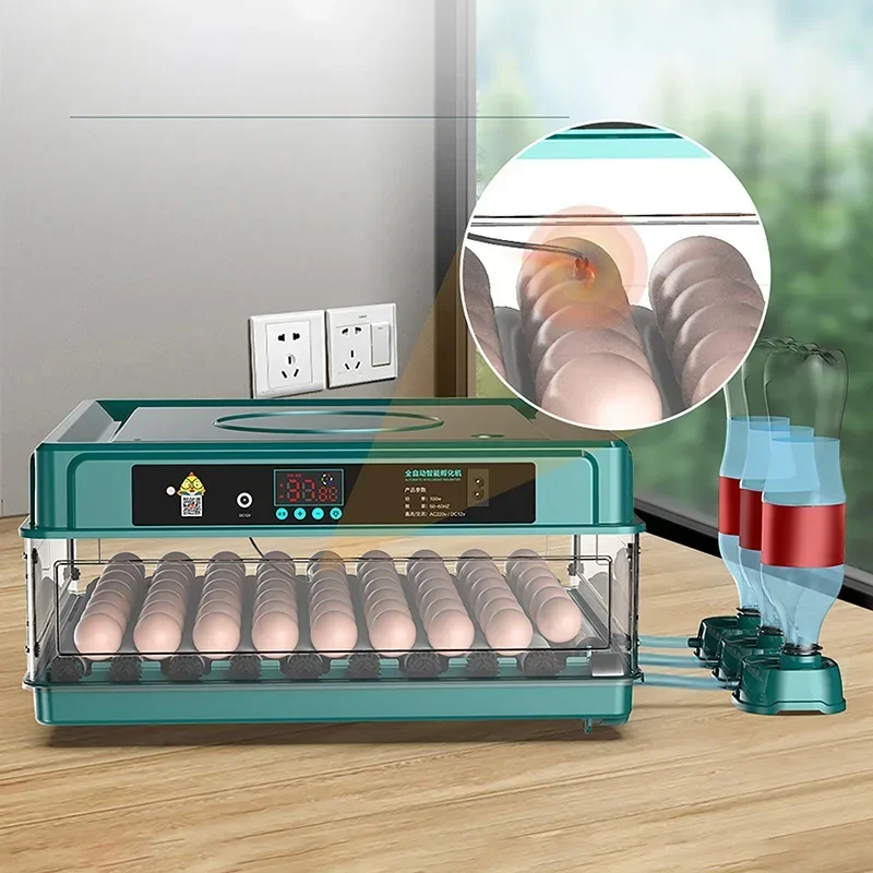 10/12Eggs Fully Automatic Incubator Screen Display For Household Chicken, Duck, Goose, Pigeon, Peacock And Parrot Egg Incubator