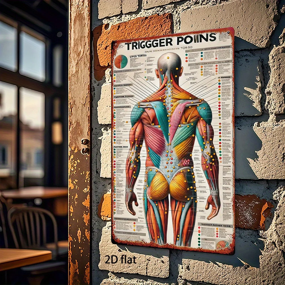 Vintage Muskel-Triggerpunkte Metall-Blechschild Anatomie Wanddekoration für Physiotherapie-Klinik