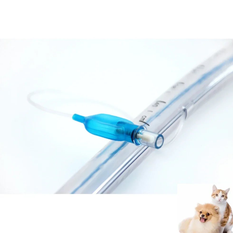 CE sterile soft medical PVC armoured cuffed balloon horse vet animal ET tubes endotracheal tube intubation with stylet