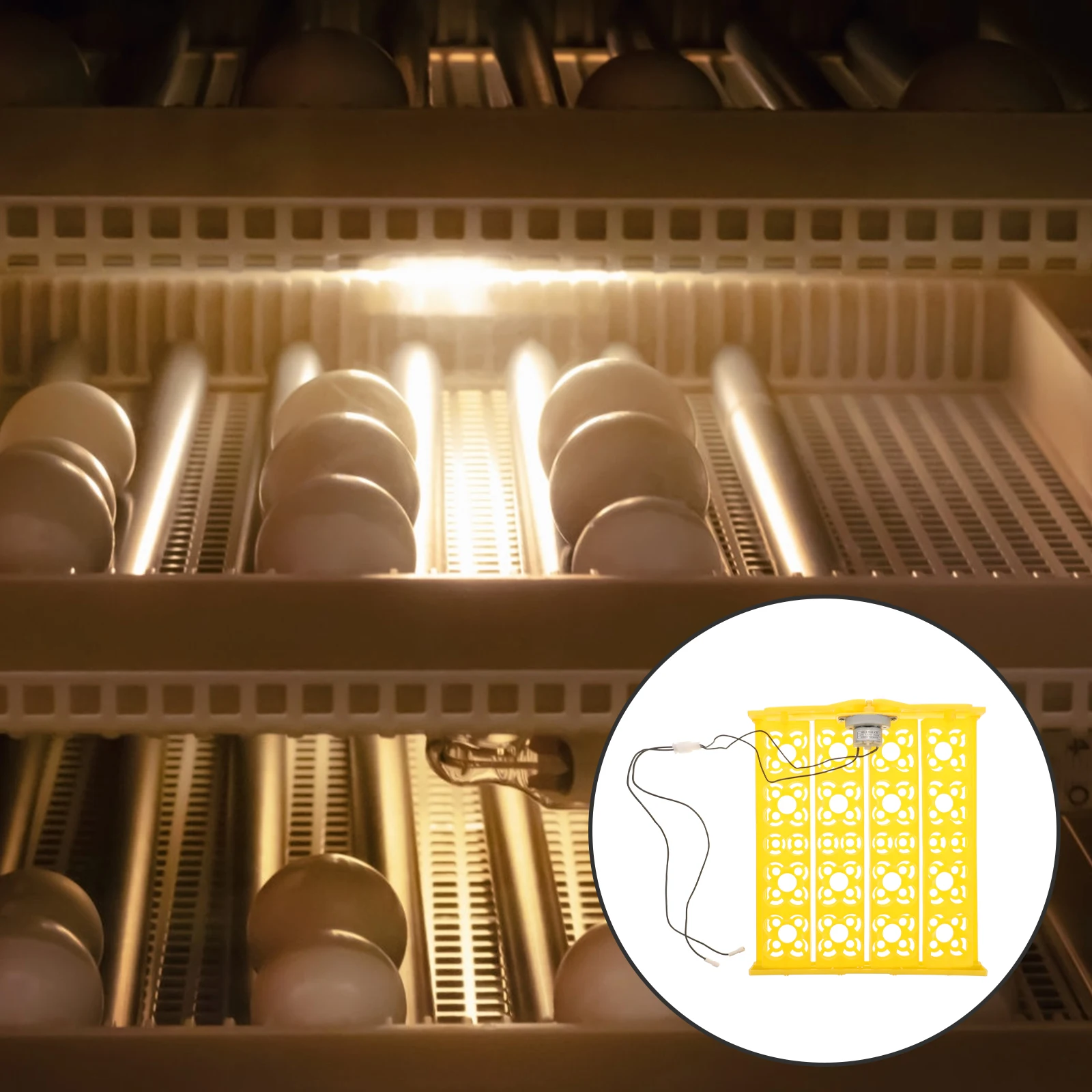 

Fully Automatic Turning Tray For Chicken Goose Turkey Eggs Incubation Reusable Plastic Egg Turner Hatch Incubator