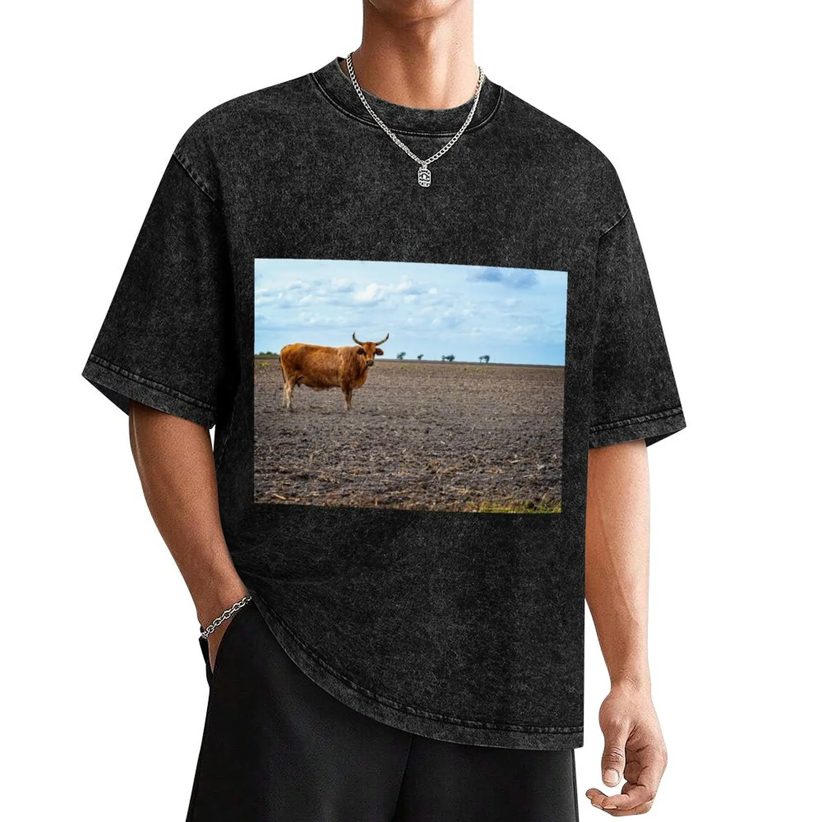 

Cow with horns standing in empty pasture T-Shirt plus sizes football t shirt cute clothes men workout shirt
