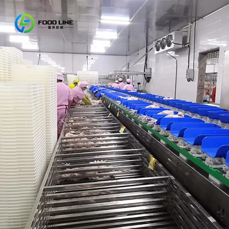 Customized Automatic Chicken Duck Goose Slaughter Machine Chicken Slaughter Feet Cutter Machine for Chicken Slaughter