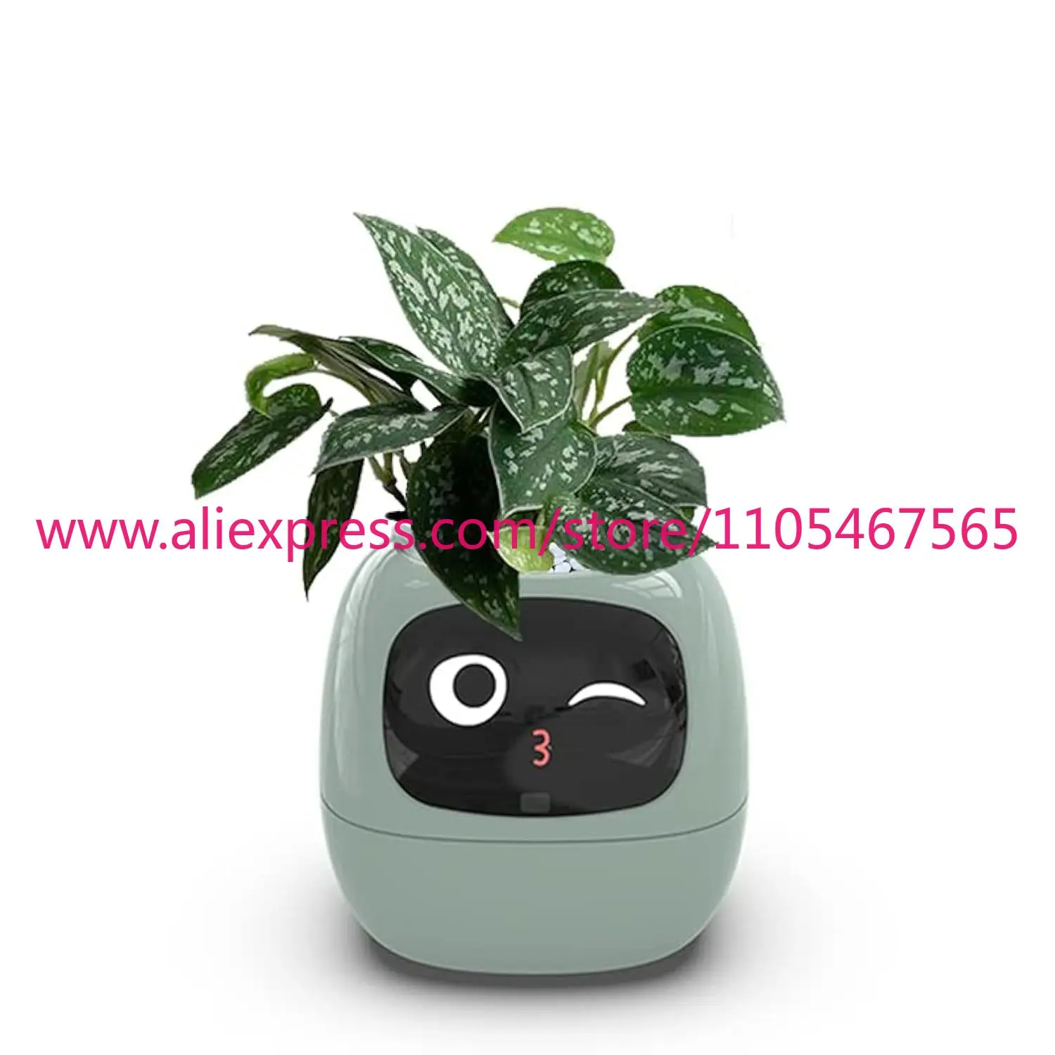 Planting robot, providing plant care guidance through emojis, cute plants with significant other, rich gesture interaction