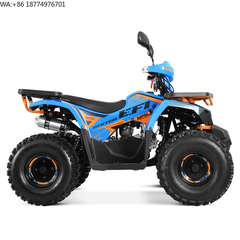 Tao Motor 2024 New EFI Electronic Fuel Injection ATV 125 Cheap Chinese Automatic with Reverse Chain Drive Farm ATV 125cc ATV