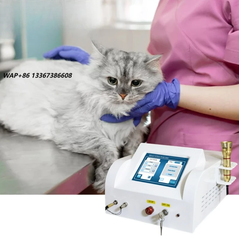 Arfurla Premium Pet Medical Equipment Level 4  Machine