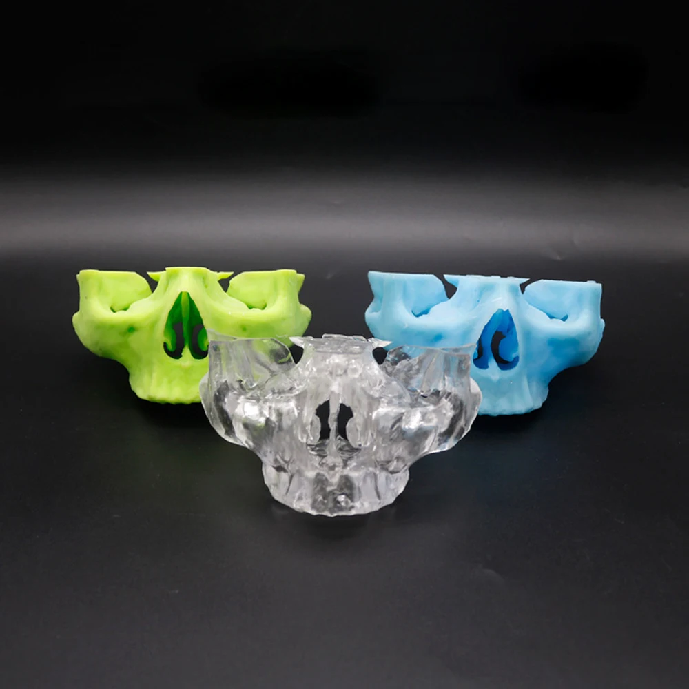 1pc Dental 3D Printed Zygomatic and Pterygoid Implant Model For Dental Teaching Purposes Dental Supplies