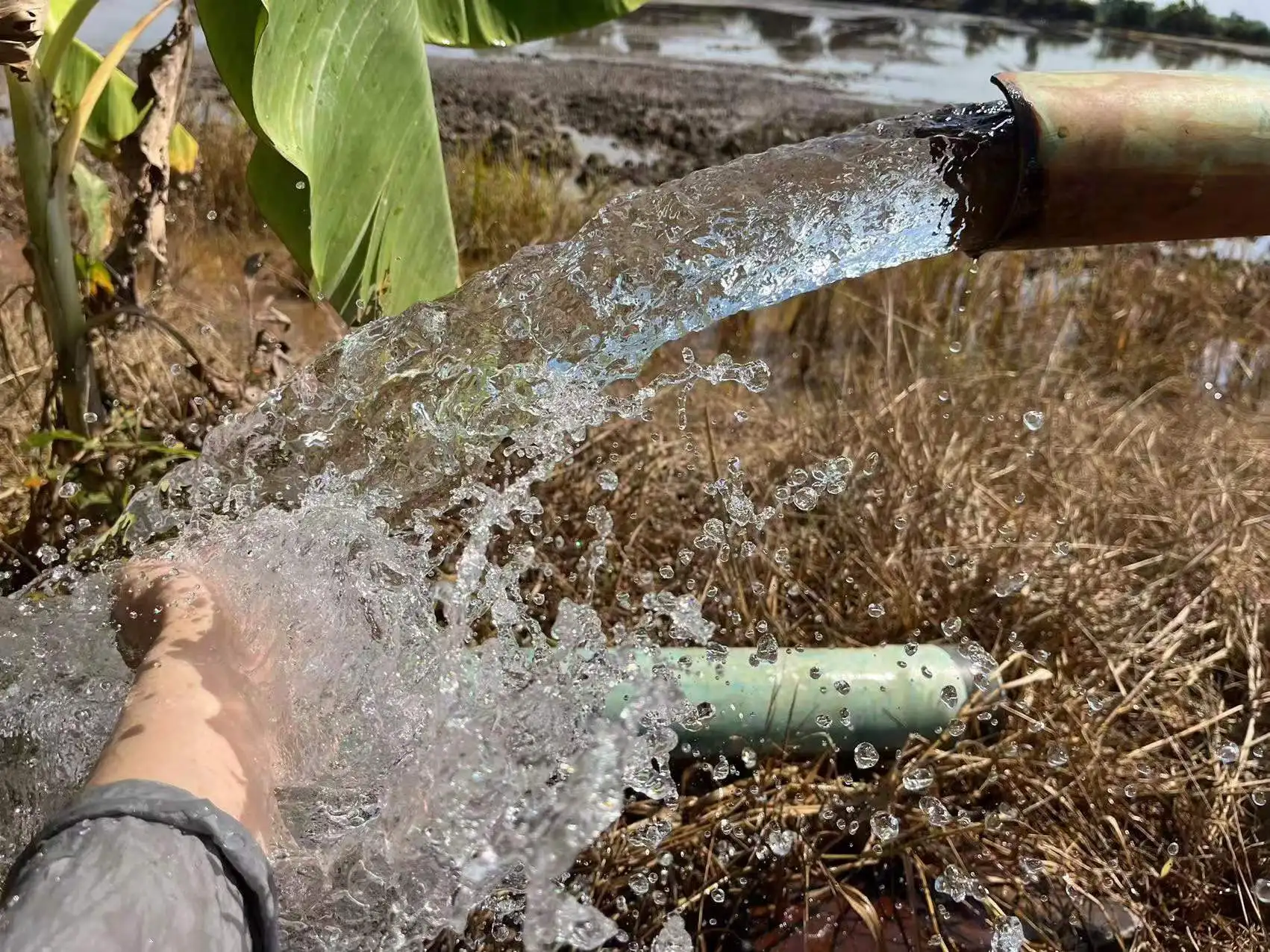 High Efficiency 110V DC Solar Water Pump 4\"/6\" Stainless Steel Impeller High Pressure Submersible Pump Solar