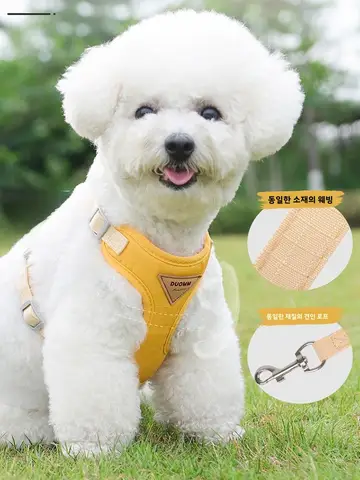 개 가죽 끈 조끼 스타일 테디 Bichon 작은 강아지 가슴 스트랩 애완견 산책 밧줄 비 확장형 개 리드 하네스 일반 크기