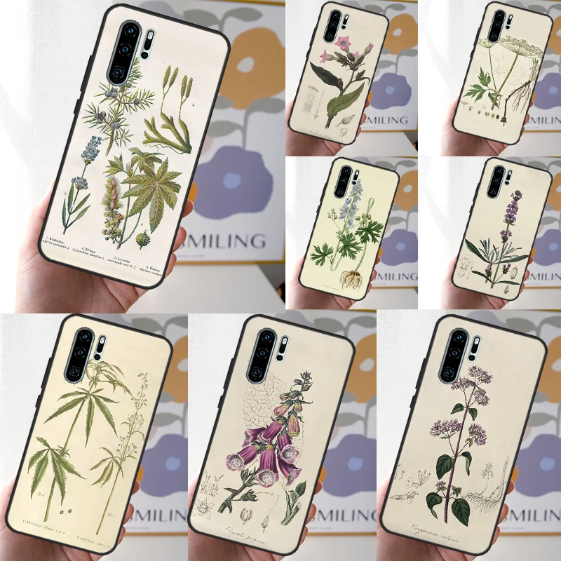 Botanical Drawings Flowers Plants Case For Huawei Nova 3i 7i 8i 11i Y70 Y60 Y90 Y91 Y61 9 10 SE 5T P30 P40 Lite P60 Pro Cover