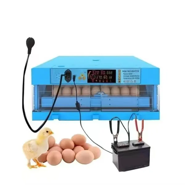 

Wholesale Factory 64eggs Egg Incubators Automatic Hatching Machine New Egg Incubator for Sale