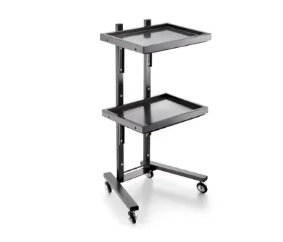 

Stainless Steel Hair Cutting Trolley