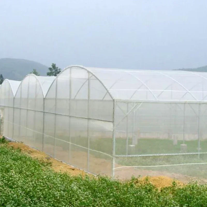 White Mesh Cover Fruit Tree Vegetable Protect Bird Prevention Insect Prevention Net Breeding Farm Mosquito Prevention Fine Mesh