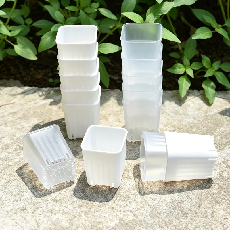 50-100Pcs 4cm Mini Thicken White/Transparent Square Flower Pot For Seedling Cultivation Breathable Succulent Plant Pot Seed Tray view 5