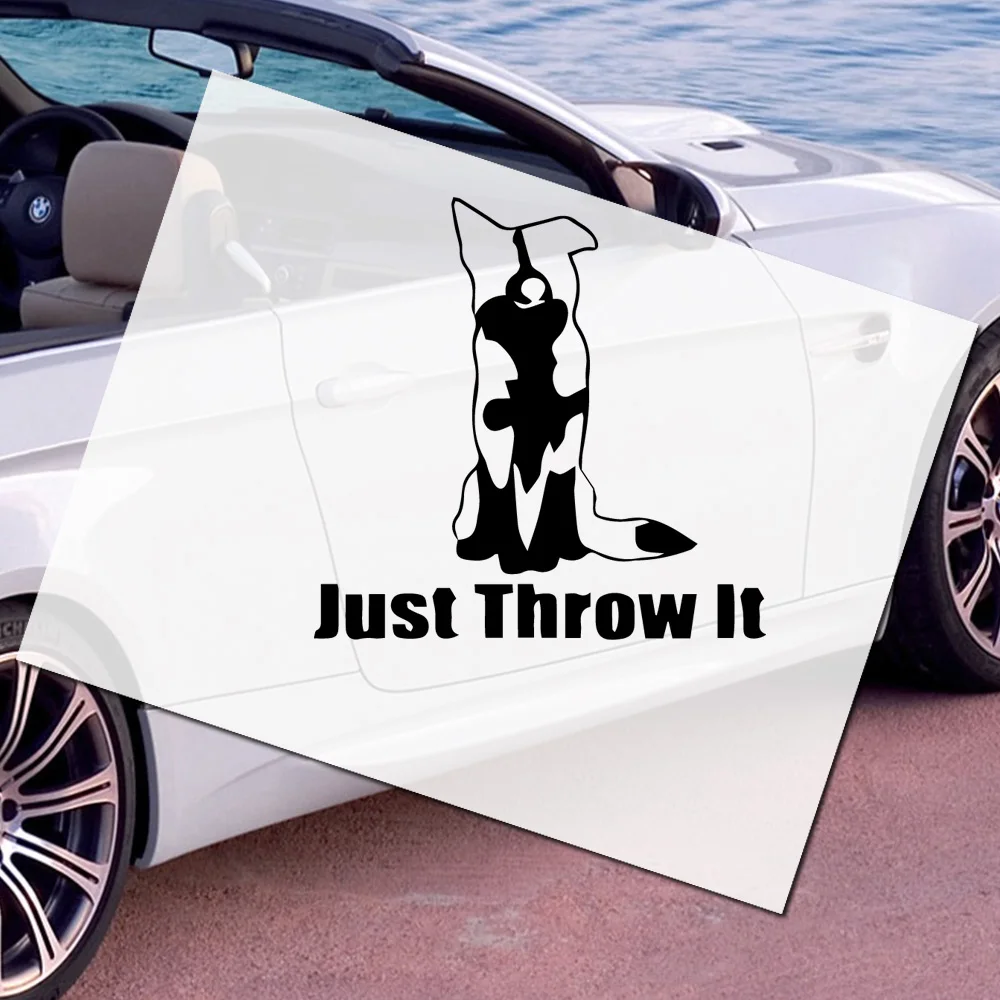 Border Collies Pet Doggie Head Decals Stickers for Door Window Body  Decorative Animal Graphics Car Accessories