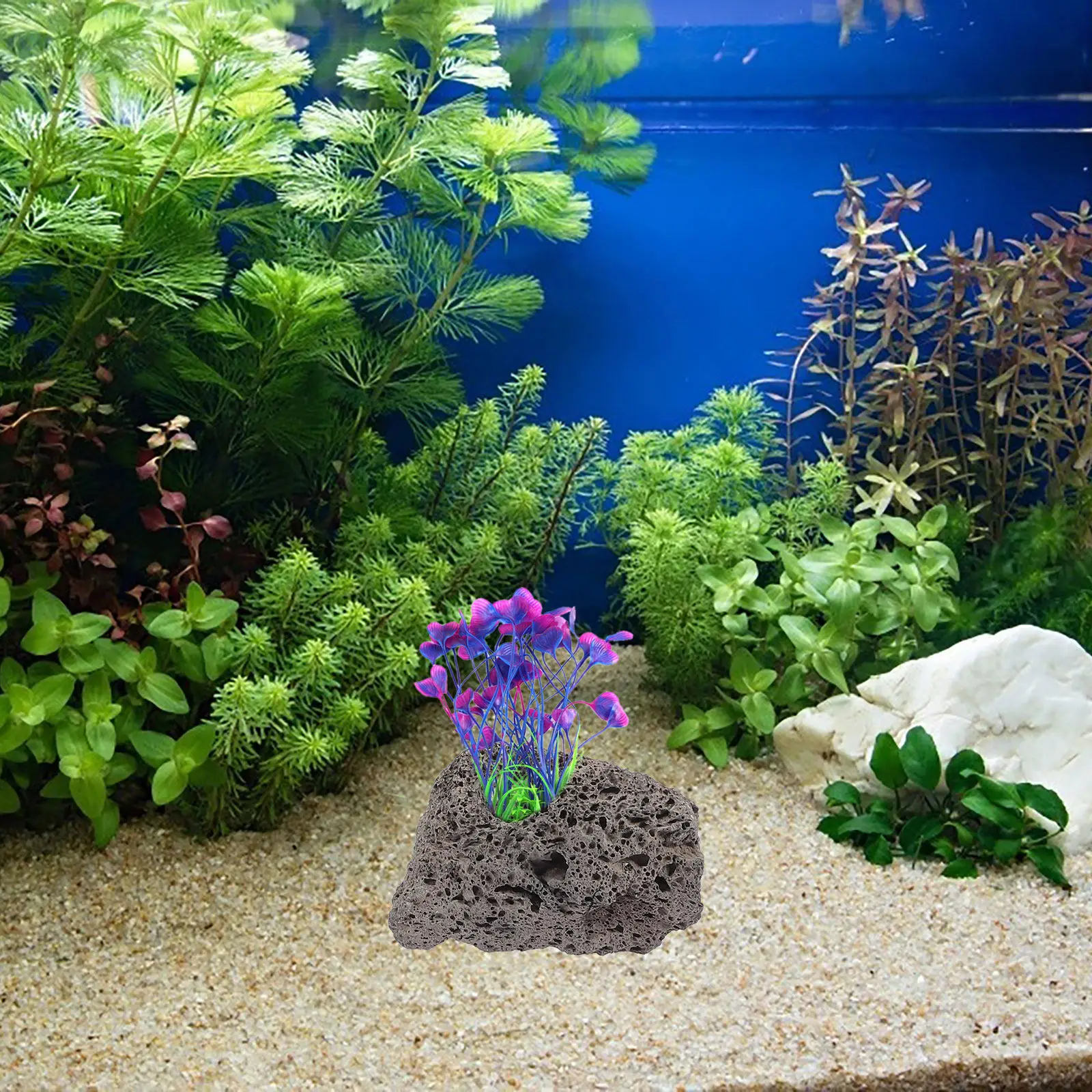 

10 шт. Декор из вулканического камня для аквариума, держатель для растений, натуральный вид, ландшафтный декор, безопасный для аквариумов