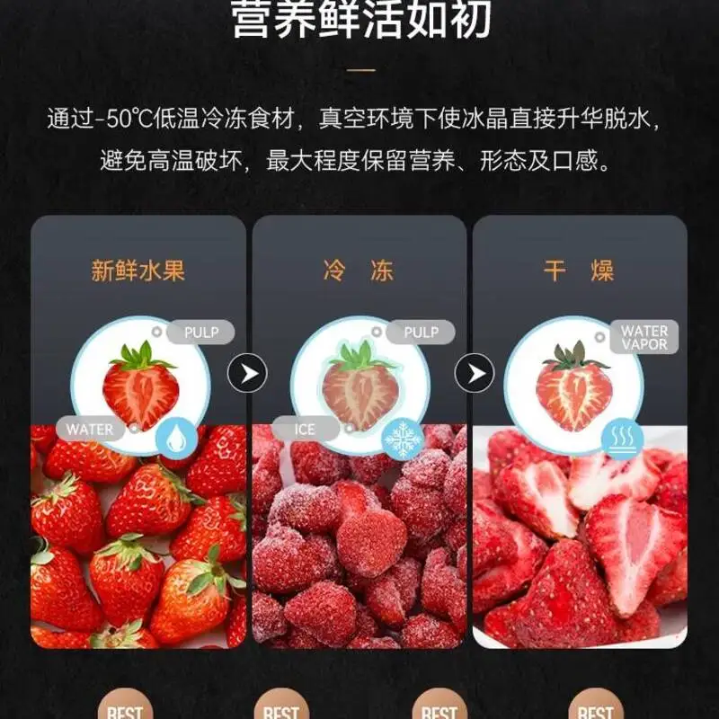 2026 Pet Food, Medicinal Materials, Liquids, And Tea - Commercial Vacuum Freeze-drying Machine