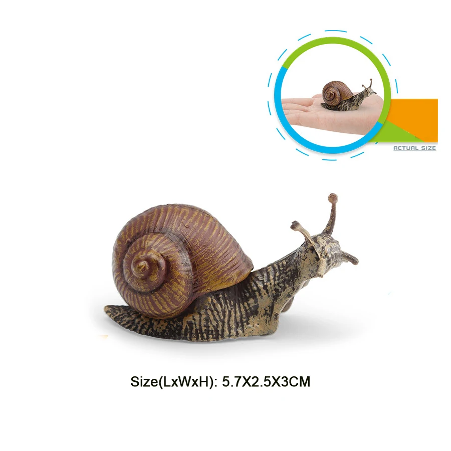 Realistischer Lebenszyklus einer Schnecke, Modellfigur, Schneckenfigur, Partyzubehör, Kuchendeckel, Tischdekoration, Sammlungsspielzeug