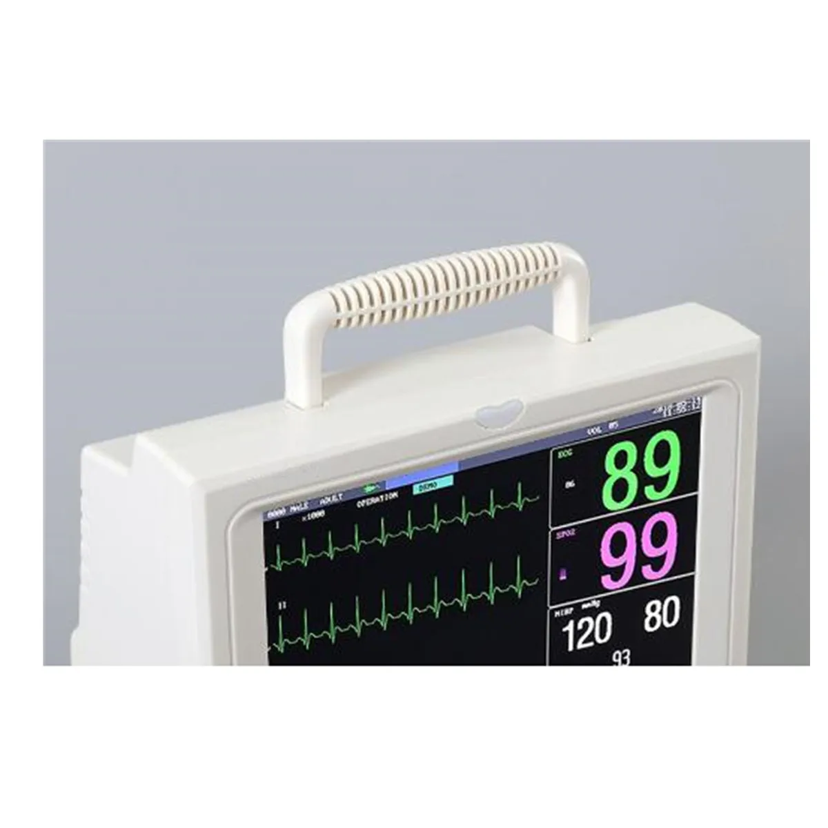 Animal 12 Inch Multiparameter Veterinary Patient Monitor TFT 12 Inch Screen 6 Parameter Optional for Capnograph