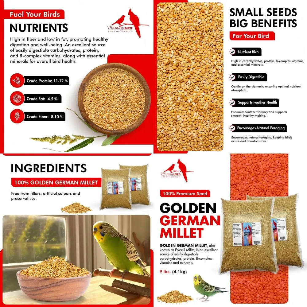 

Golden German Millet – Bird Seed & Parakeet Food with Protein & Vitamin B – Easy-to-Digest Millet Seed, Natural Food & Daily Nut