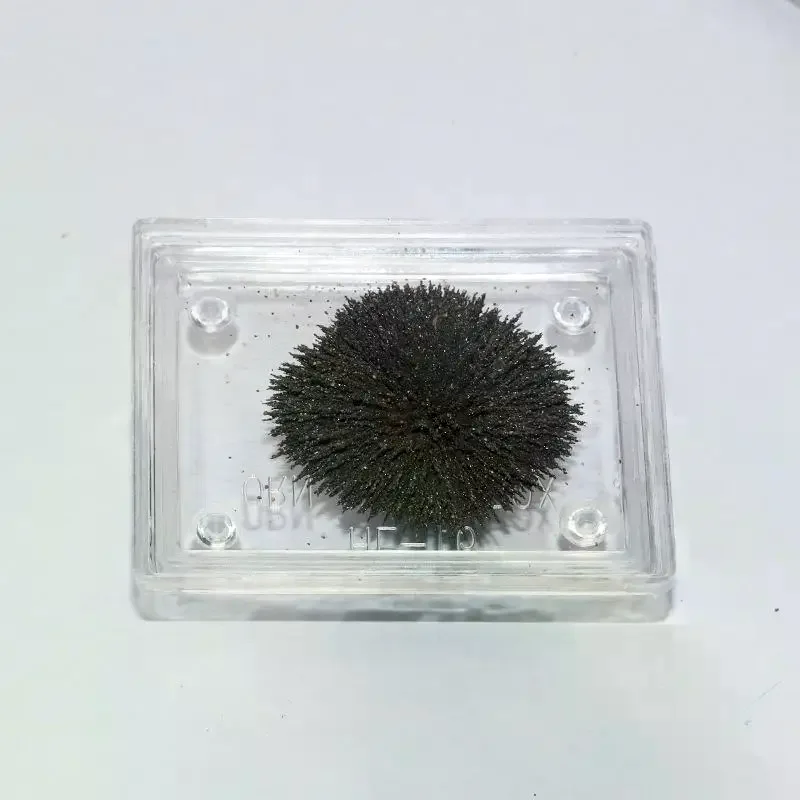 Physics Electromagnetism Experiment Magnetic Induction Line: Demonstrator Teaching Instrument School Lab