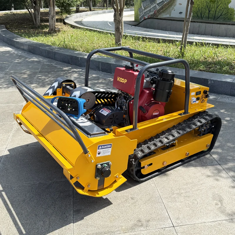 Cortacésped personalizado con control remoto para uso familiar en jardín, cortacésped con nombre en inglés, tamaño compacto para el cuidado del jardín en casa