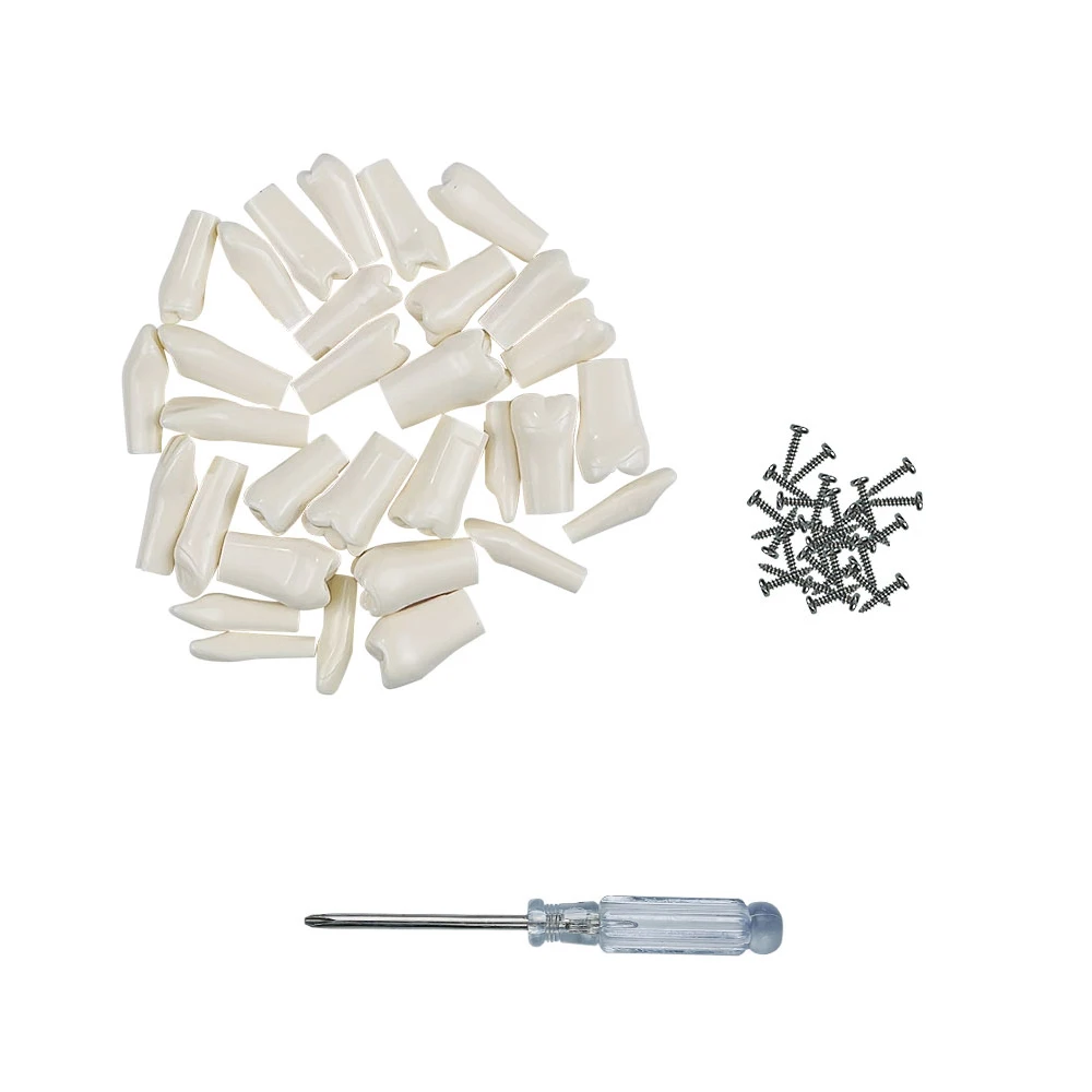Lot De 40 Vis De Remplacement Pour Dents Typodont – Compatible Kilgore Nissin 500, Générique