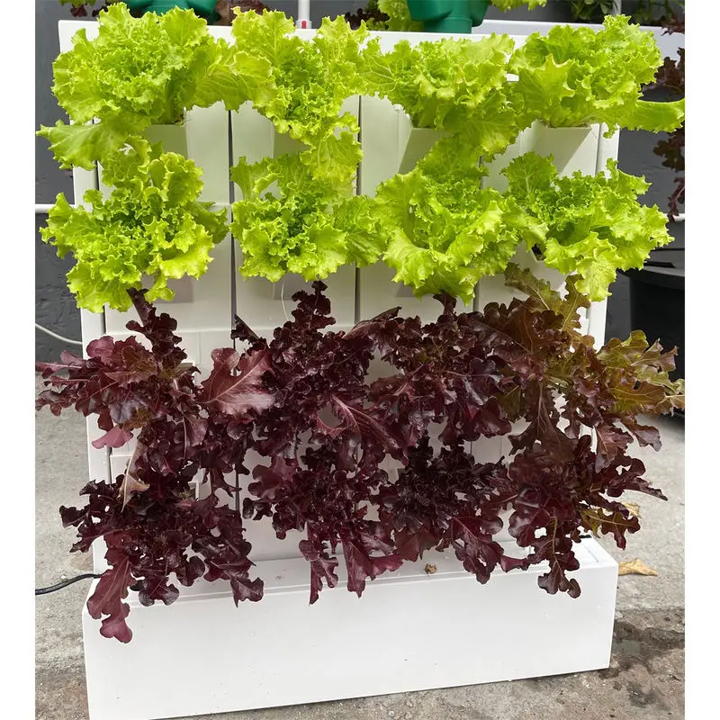 16-hole Greenhouse Hydroponic Growth System Hydroponic Vertical Wall System