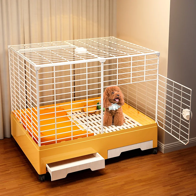 Petit chien Teddy FN...