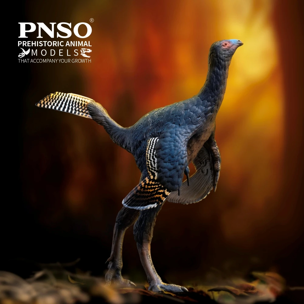 

Модели доисторических динозавров PNSO:93 Junlang the Caudipteryx