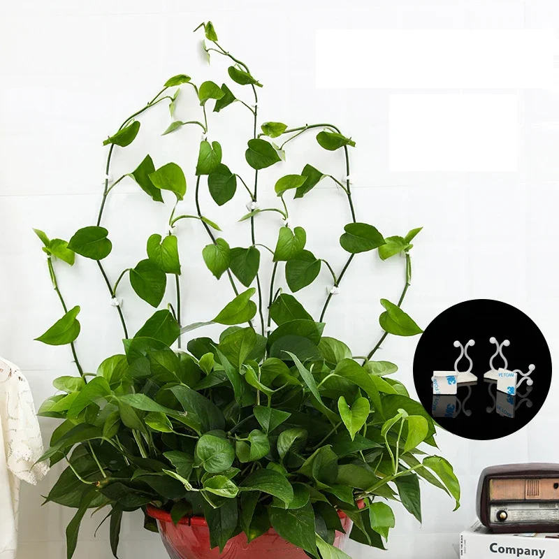 Invisible Wall Vines Fixing Clips Plant Climbing Holder Fixer Self-Adhesive Fixture Wall Sticky Hook Garden Plant Support