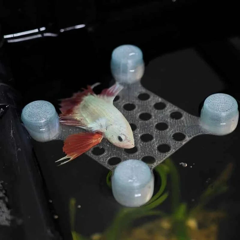 Betta Fish Rest Platform Cup Aquarium Floating Pad Fish Tank Relax Station Ornament for Tropical Fish
