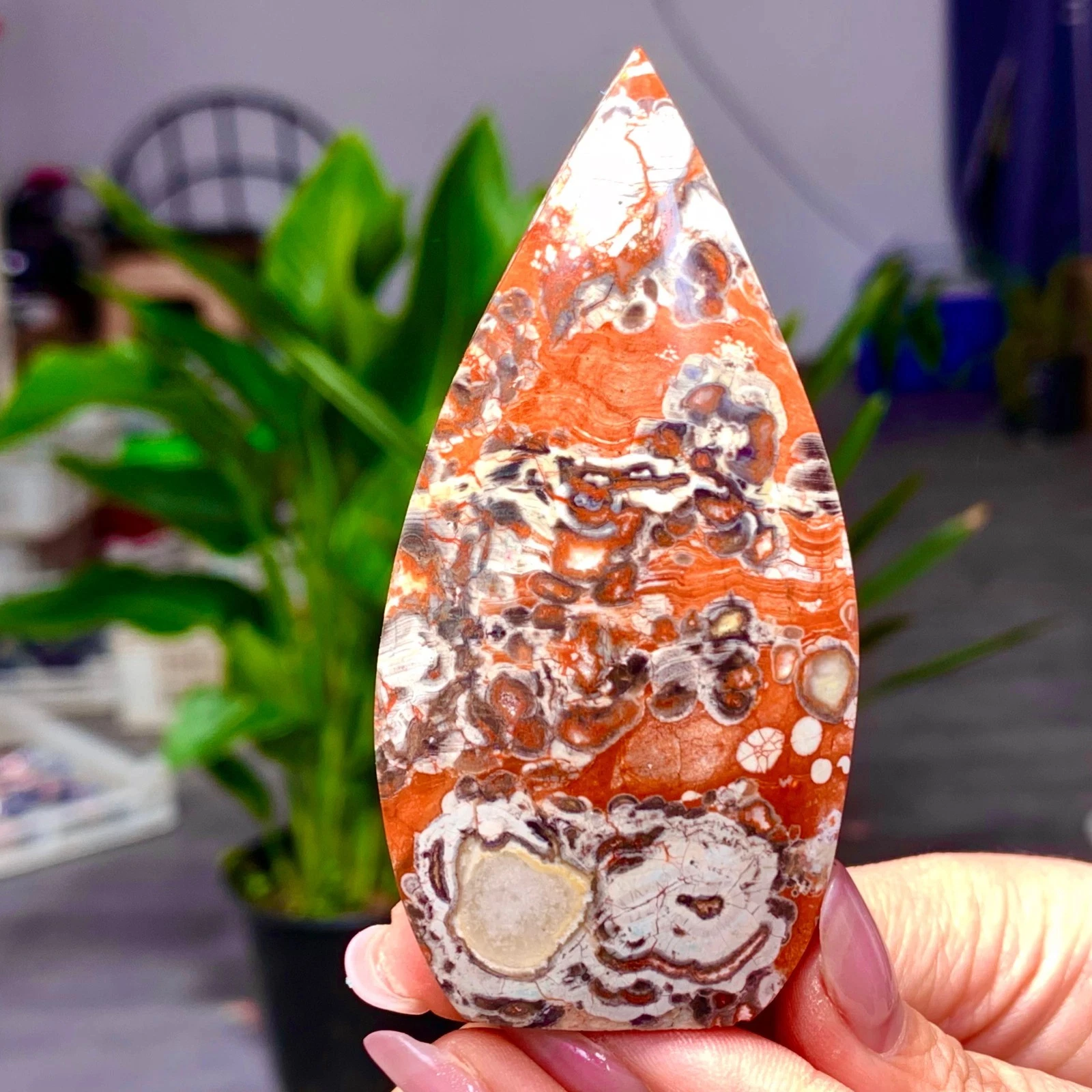 Natural Money Agate Water Droplet Shaped Crystal Stone Wealth Energy Healing Gemstone Home Table Ornament Holiday Souvenir Gift