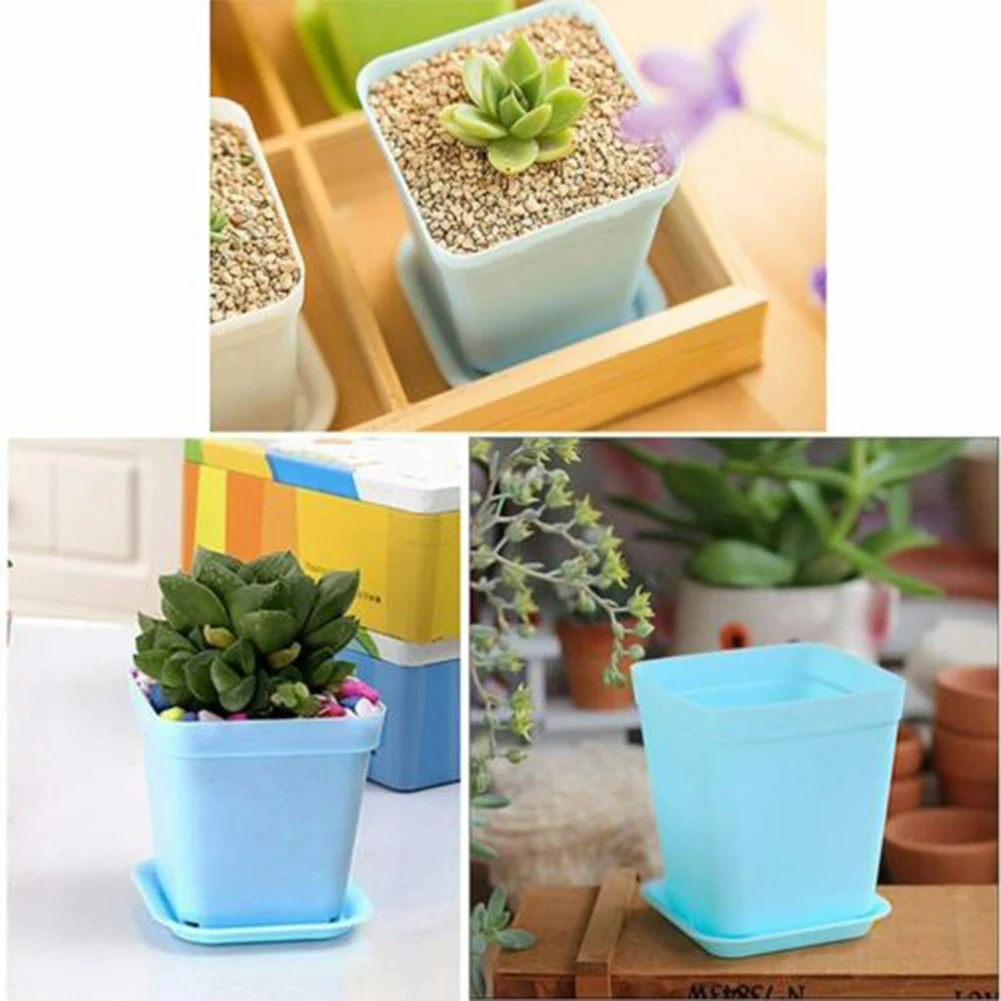 Boxes Keep Soil Drained With Small Holes Square Flowers Pots W Drain Tray Potted Ventilated 2.7x3.12inch Bonsai