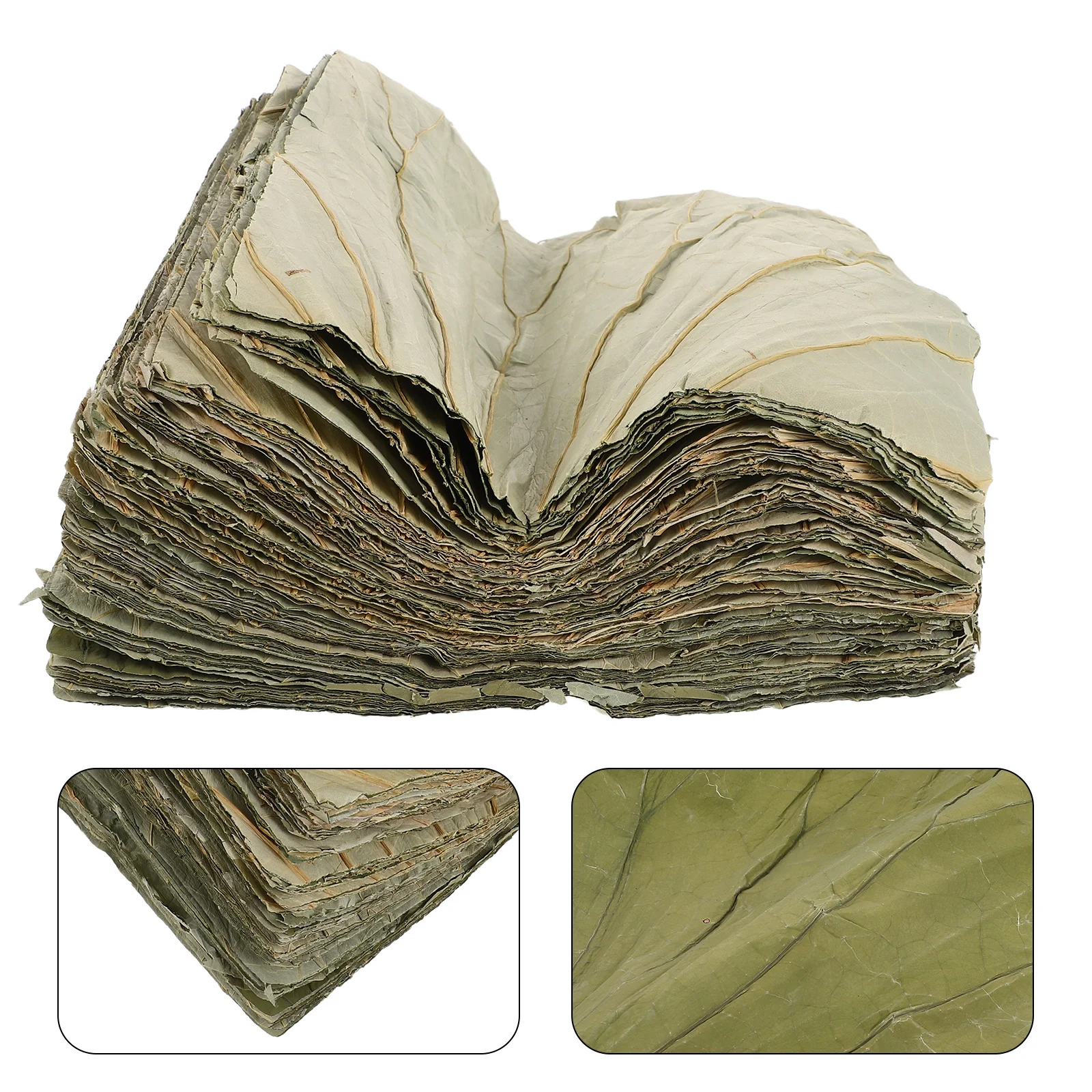 

100Pcs Natural Dried Lotus Leaf Sheets Square Sushi Plate Liner Buffet Platter Decor Asian Food Wrap Leaves Green Leaf Plate