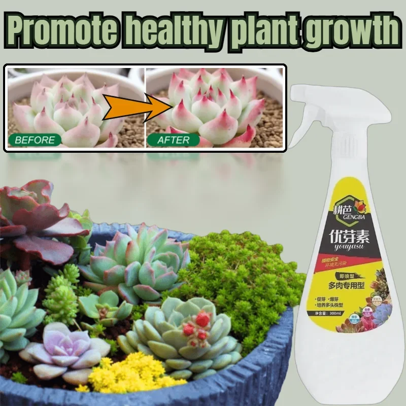 300ml Succulent Plant Nutrient Solution Excellent Bud Promotion Bud Bursting Bud Promotion Flower Fertilizer