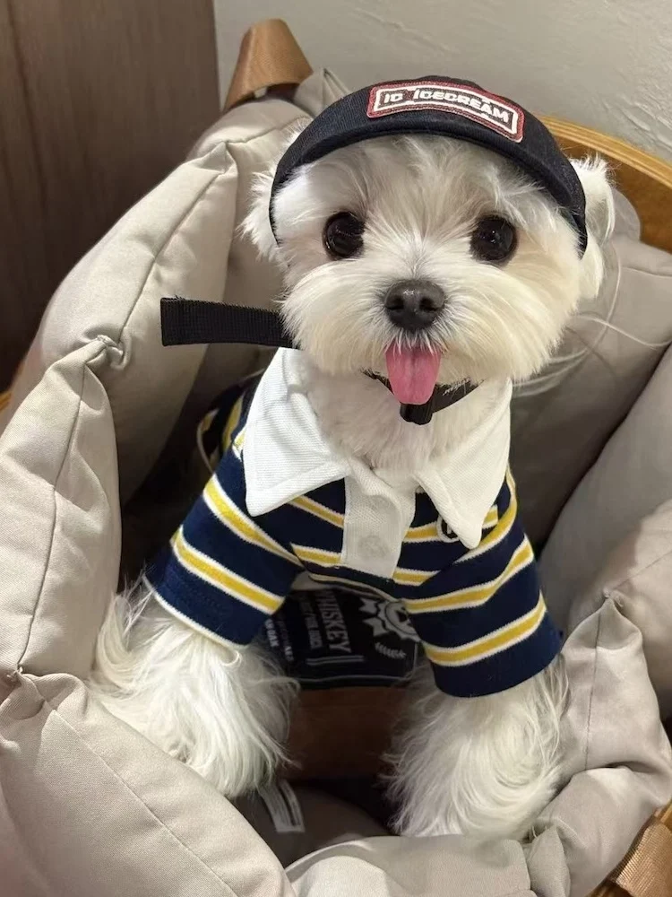 

Оригинальный iC Pink Brown Latte Blue Sun Stripe Pet Dog irt, американский хлопок в стиле ретро, легко чистится, для всех сезонов