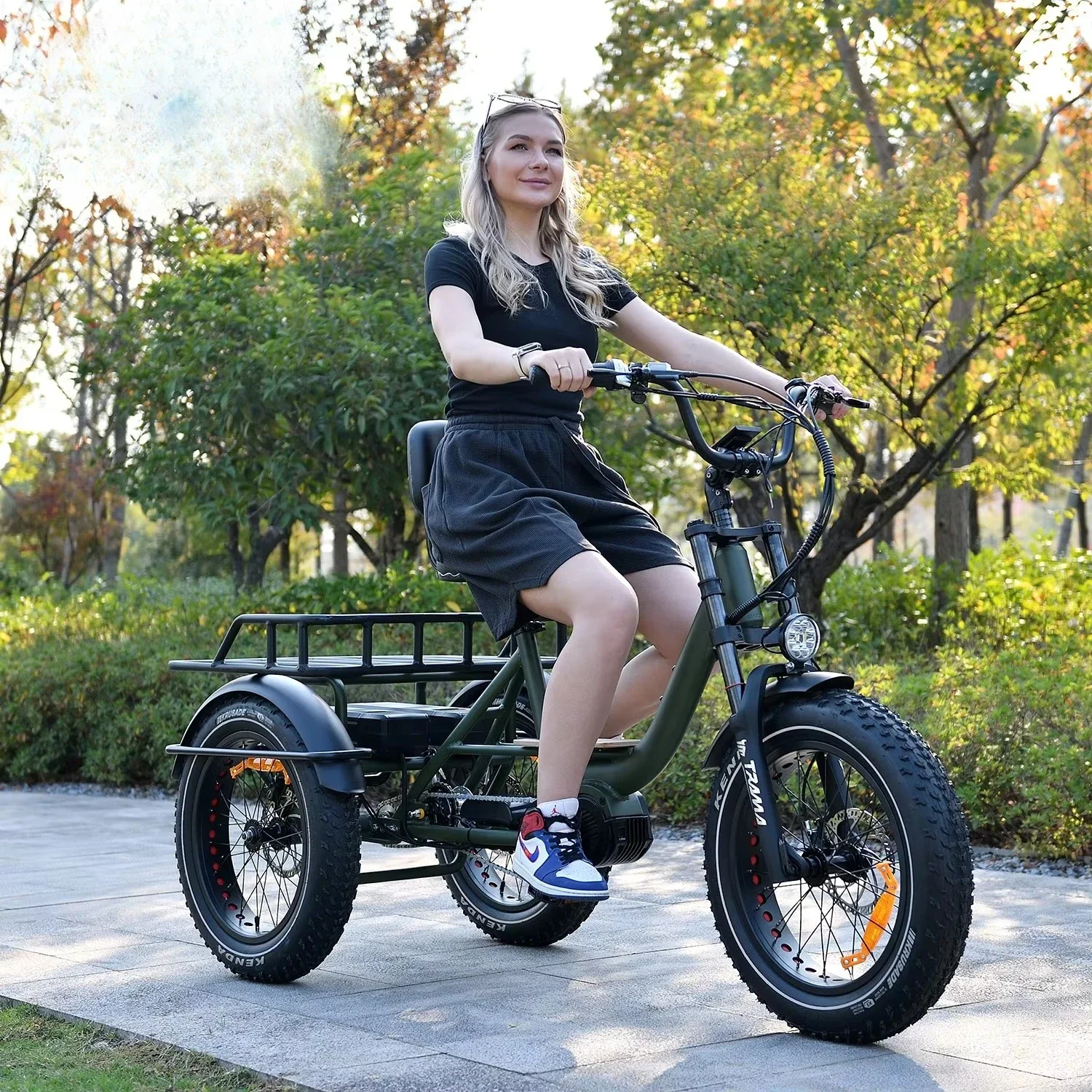 

48V Adult Electric Trike Cargo Bike 750W Fat Tire Sand & Snow Fast Delivery Tricycle Fashion Three Wheel Vehicle for Adults