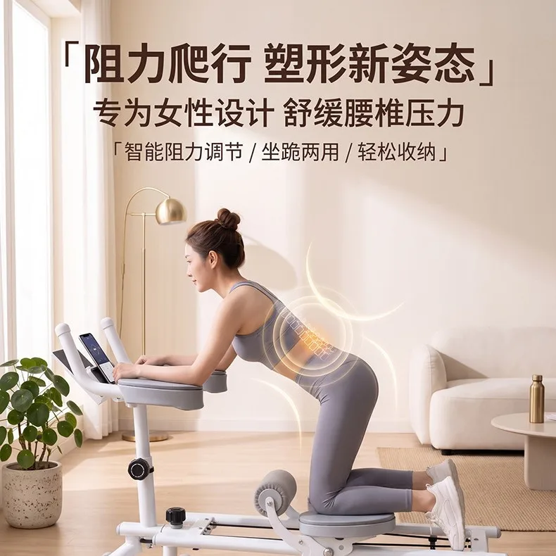 Indoor Fitness Crawler, Ab Roller, Core Trainer, Waist and Spine Exercise, Slimming Equipment, Home Workout Machine for Women