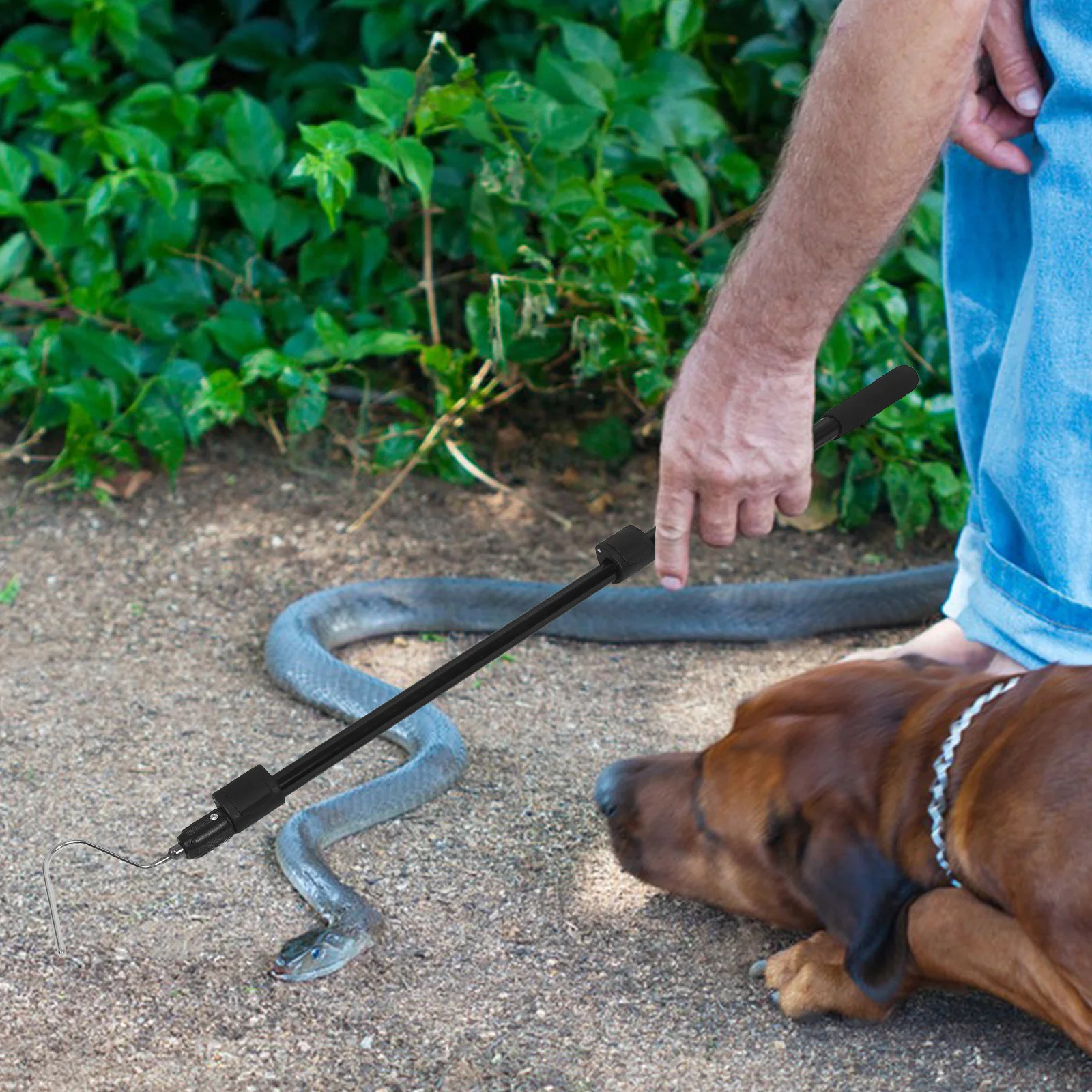 

Telescoping Snake Hook Heavy Duty Catcher Grabber Tool for Handling Snake Rescue Reptile Supplies Reaching Tool