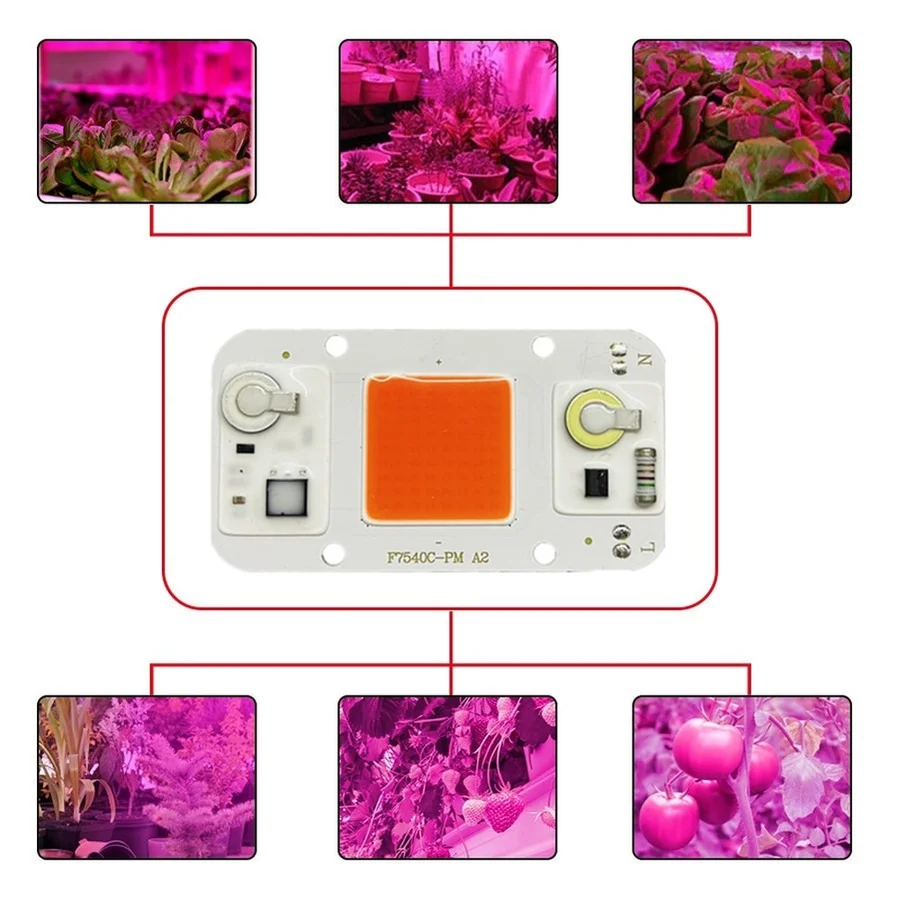 Hydroponice AC 220V 50W 30W 20W Cob Led Grow Light Chip Full Spectrum 370nm-780nm สำหรับในร่มโรงงาน Seedling Grow และดอกไม้