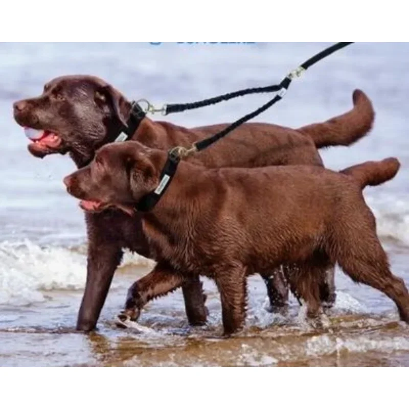 2 طريقة المقرنات الكلب المقود حبل مطاطا تمديد مقود الحيوانات الأليفة حزام التدريب في الهواء الطلق ل اثنين مزدوجة صغيرة متوسطة كبيرة الكلاب الرصاص الاشياء #3