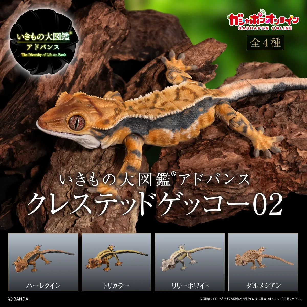 Bandai Gashapon Biografische Encyclopedie Cijfers Gekko 02 Gesimuleerde Dieren Beweegbare Prop Actiefiguren Model Kinderen Speelgoed