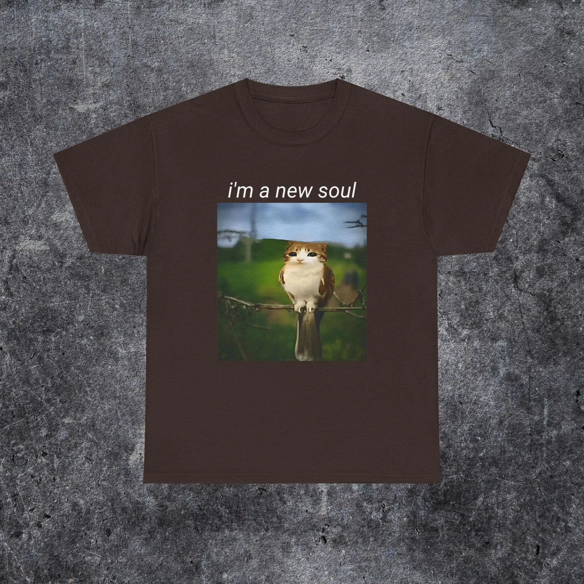 I'm A New Soul Funny Cat Owl Meme, Funny Meowl Meme Shirt, Silly Cat Meme Shirt, Gift for Her, Brainrot Meowl Meme