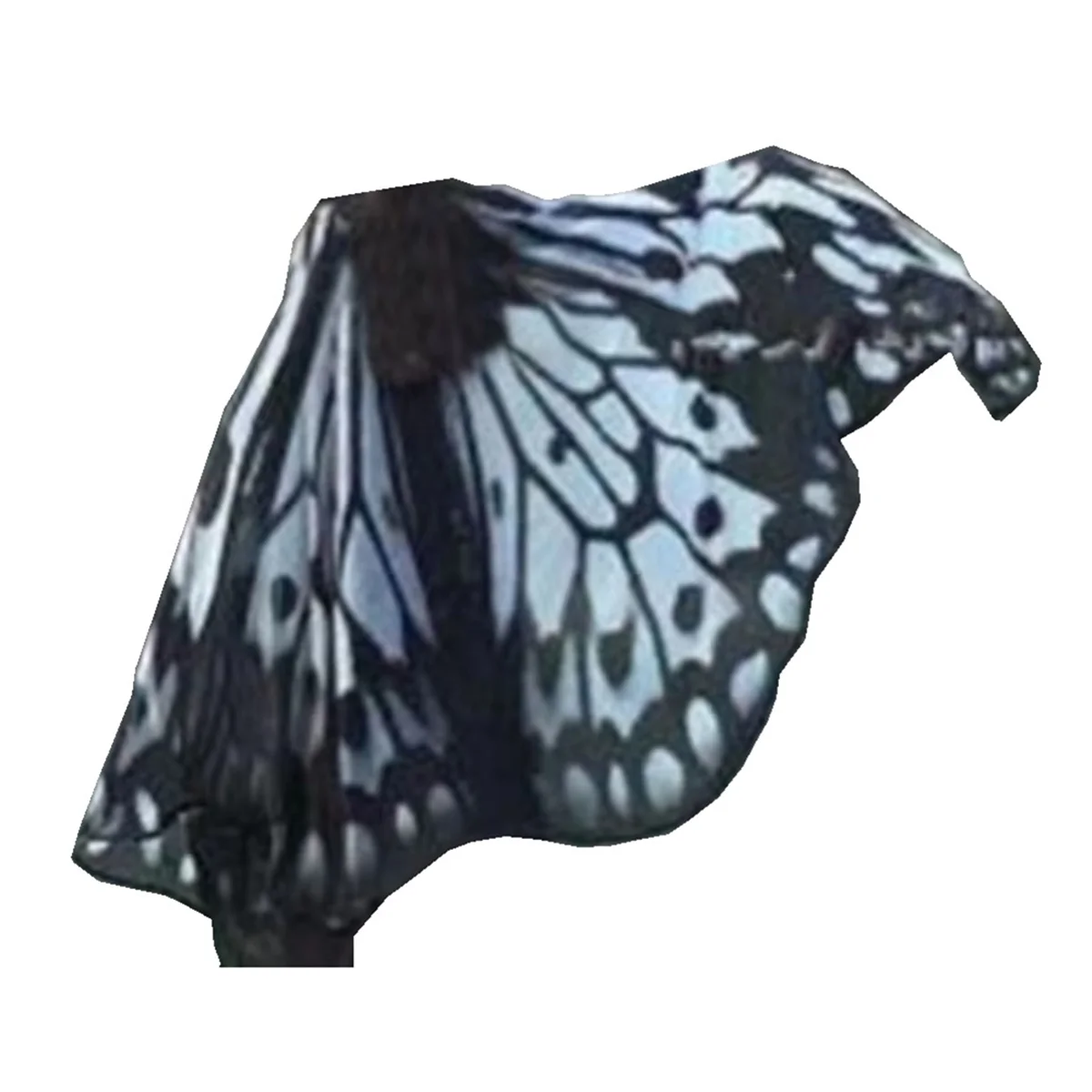 Butterfly Wing Cloak Gift Props Halloween Costumes Naughty Girl with Fairy Wing Cloak,Black